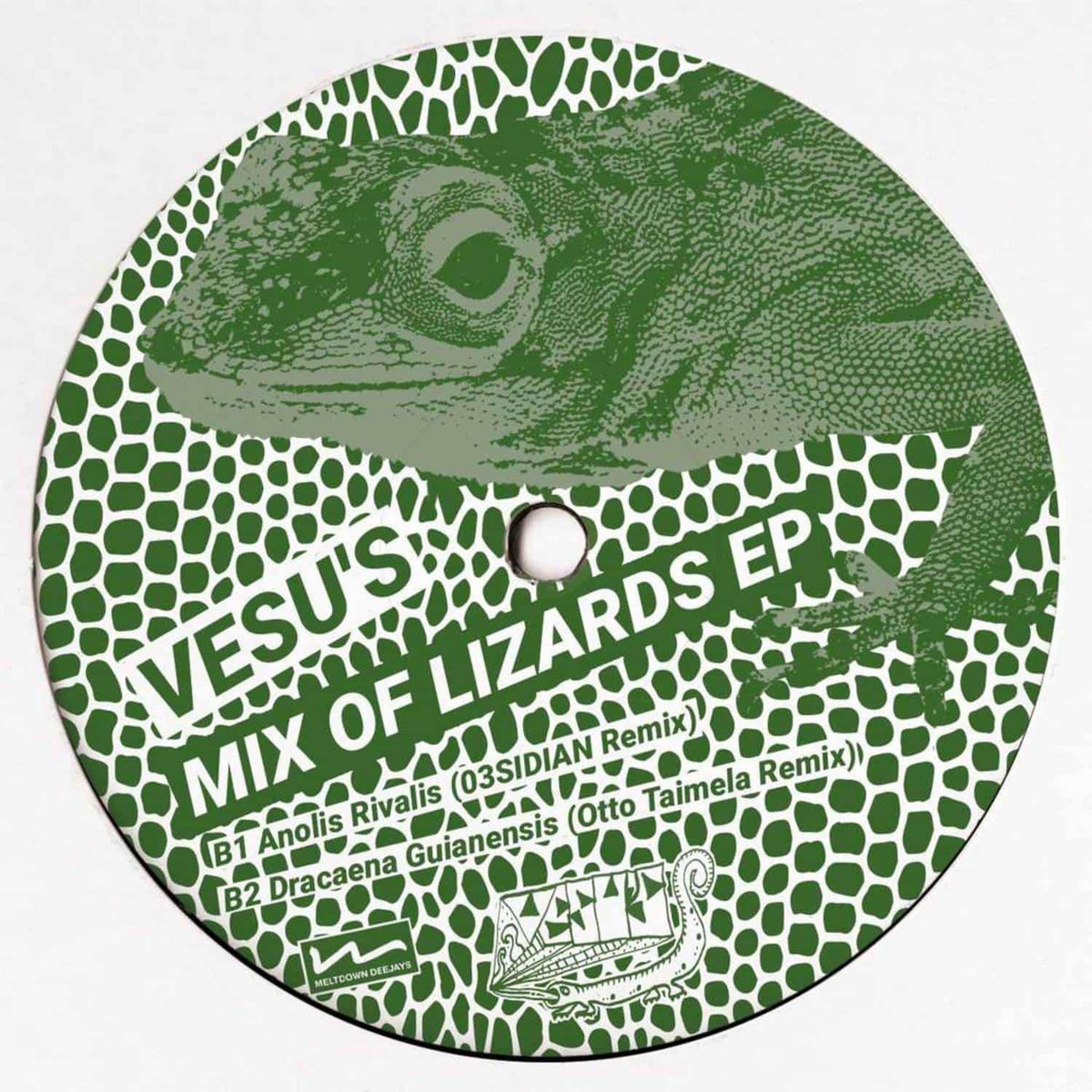 Lizard Remix Mix Of Lizards EP | Vesu's