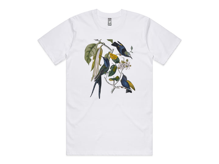 Sakura (Skintone Edition) | Susumu Yokota