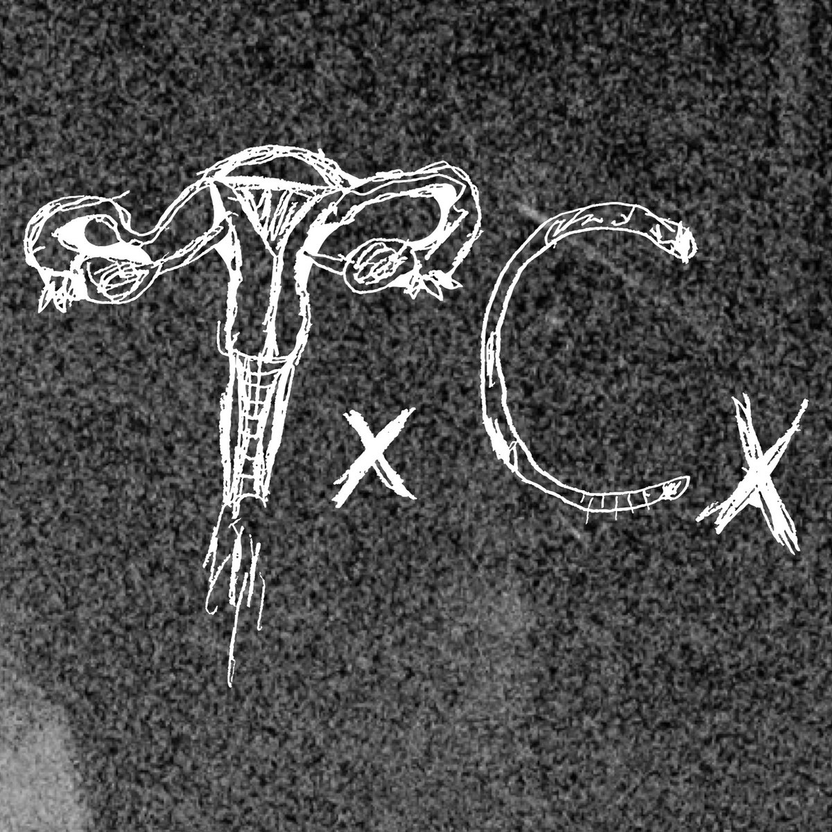 Split w/ Prosopometamorphopsia | Tomboy Copulation ...