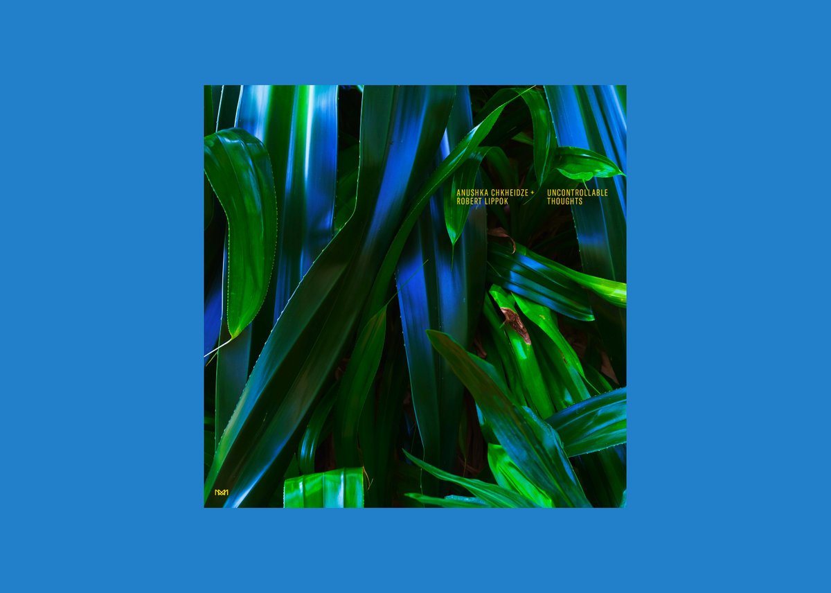 Uncontrollable Thoughts | Anushka Chkheidze + Robert Lippok