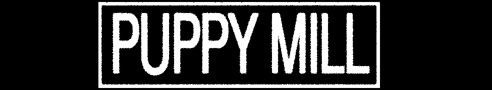 Puppy Mill — Photo