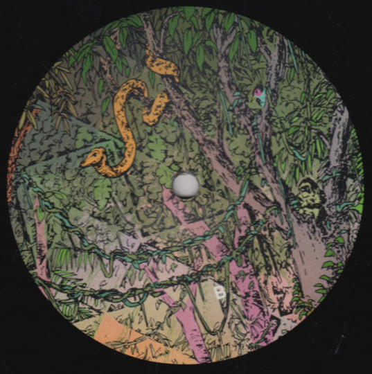 Fire In The Jungle | Oliver Koletzki