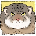 jacoppin thumbnail