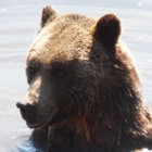 AD:HOUSE 6 | Diverse System