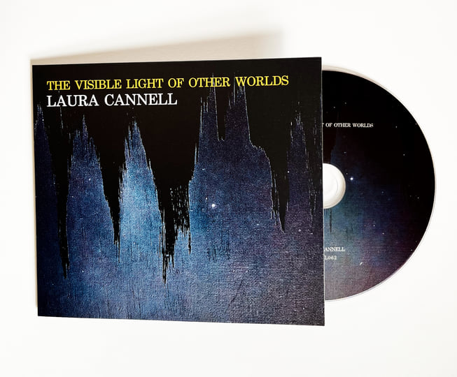 THE VISIBLE LIGHT OF OTHER WORLDS | Laura Cannell | Brawl Records