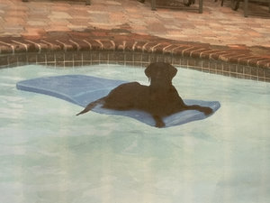 Giant Inflatable Dog