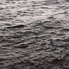 Indira96 thumbnail