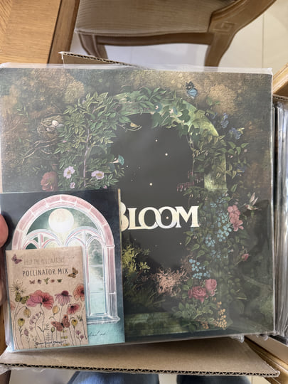 Bloom | Raynes