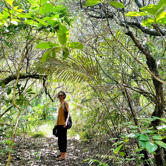 清水宏次朗　CD ABANDON 自然 NIGHT DIVE MIND s-l400.jpg