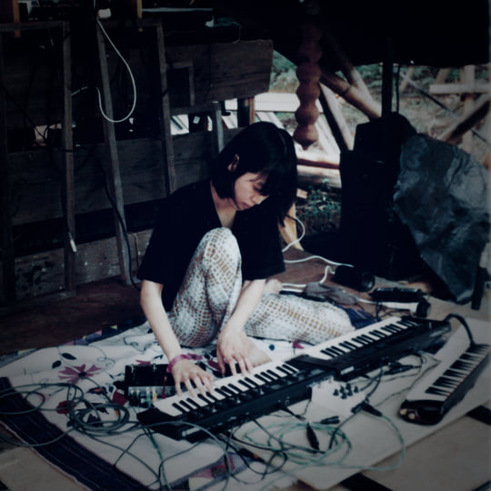 最終割　本日のみP.Pedro Tatsuta oc ペドロ タツタ　親株 最終割 本日のみP.Pedro Tatsuta oc ペドロ タツタ 親株