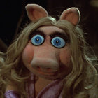 promiscuouspiggy thumbnail