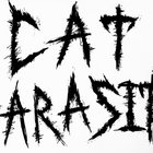 cat_parasite thumbnail
