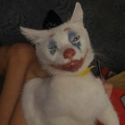 Harry thumbnail