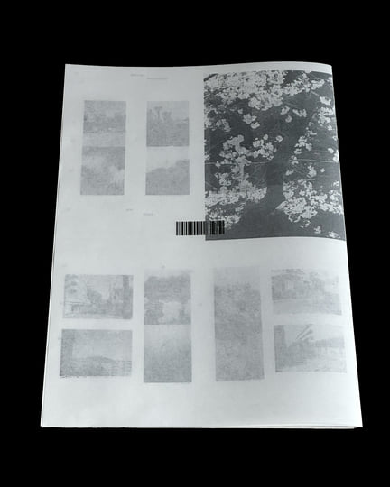 Nozomi | Masako Ohta, Matthias Lindermayr | Matthias Lindermayr