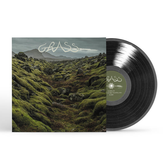 80's PUNK】THE GRASS LIMITED