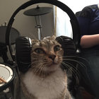 ohmarcitoh thumbnail