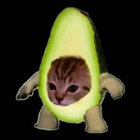 elmayonezo thumbnail