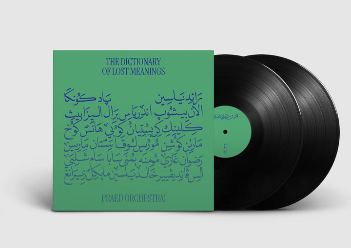 邦楽 The Definition of This Word 2LP THE DEFINITION | ZIN