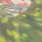 drovninskoe thumbnail