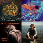 jacksonhowdyshell thumbnail
