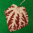 infocultiv thumbnail