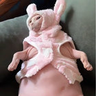Lumi The Anteater thumbnail