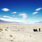 proceedingweedian thumbnail