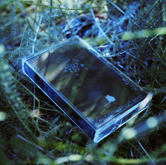 Shaded Lands | Owl Cat