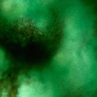 tanya_toitutetiriti thumbnail