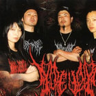 Decadent *rgy Of Atrocious Suffering | Insidious Decrepancy | SEVARED