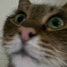 unnamyy thumbnail