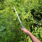 morjestelija thumbnail