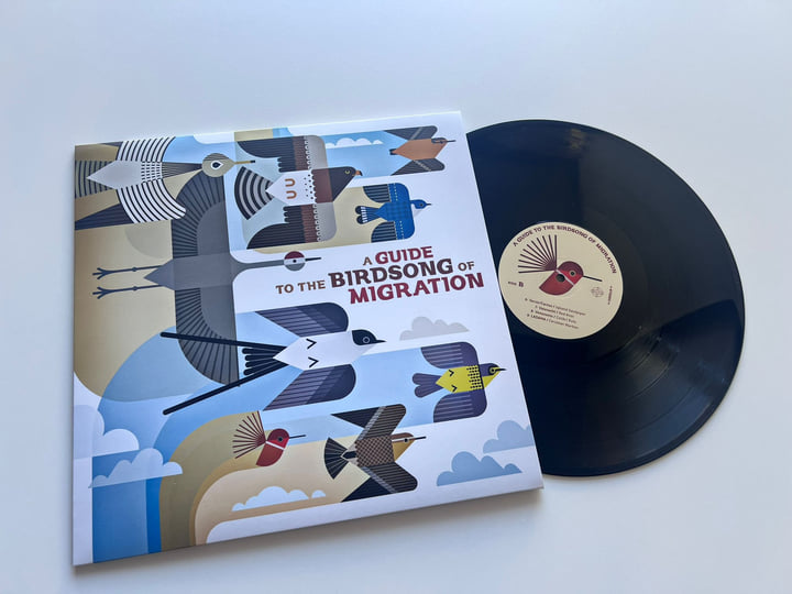 A Guide to the Birdsong of Migration | Various Artist | Shika Shika