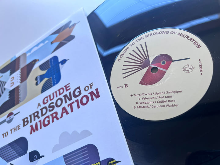 A Guide to the Birdsong of Migration | Various Artist | Shika Shika