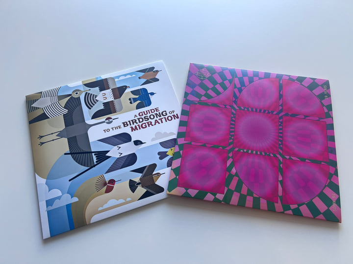 A Guide to the Birdsong of Migration | Various Artist | Shika Shika