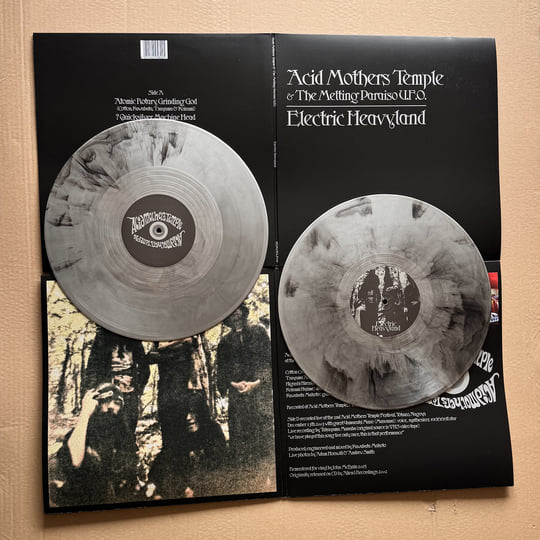 Electric Heavyland | ACID MOTHERS TEMPLE | Riot Season Records