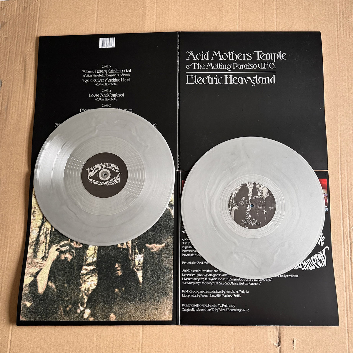 Electric Heavyland | ACID MOTHERS TEMPLE | Riot Season Records