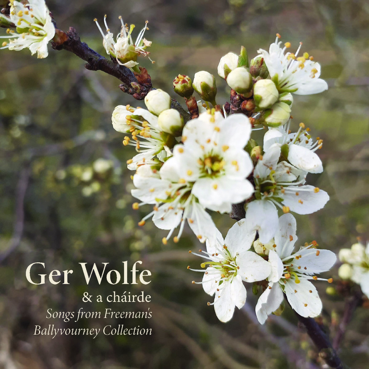 Pilates Cadillac Reformer Combo for sale-Pilates Cadillac how much-Cunruope®, image size:1200x1200