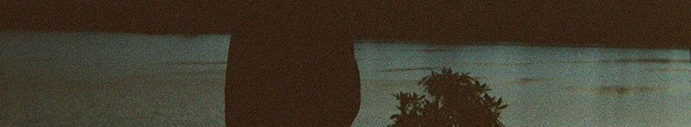 SWIMS — Photo