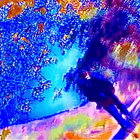 the groovy guru thumbnail