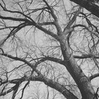 HerexiaEternal thumbnail