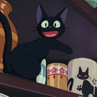 KoolKitter thumbnail
