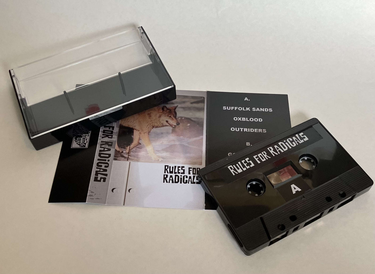 Rules For Radicals | Rules For Radicals | Trench Art Noise