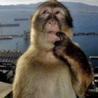 willmy thumbnail