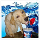 Payton! thumbnail