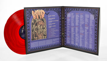 Limited Edition 12" Vinyl w/ Download, image 4