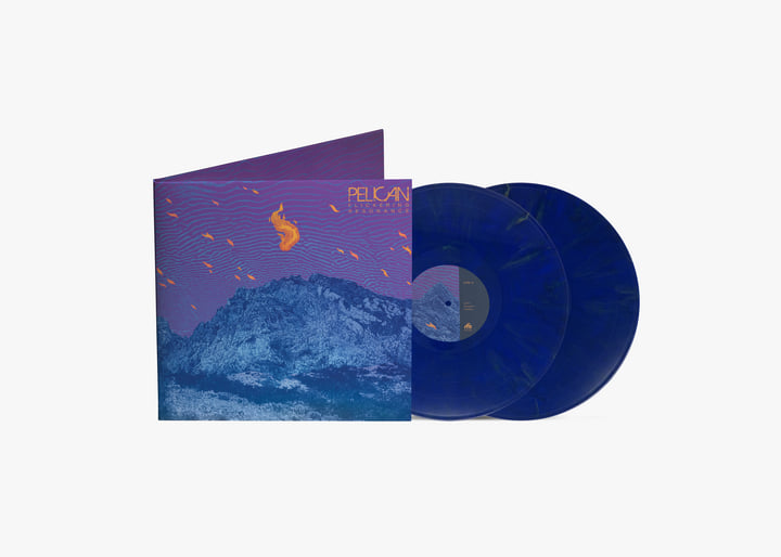 Flickering Resonance | Pelican