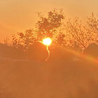 mysilentface thumbnail