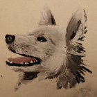 bertrandhoal thumbnail