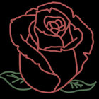 casualroses thumbnail